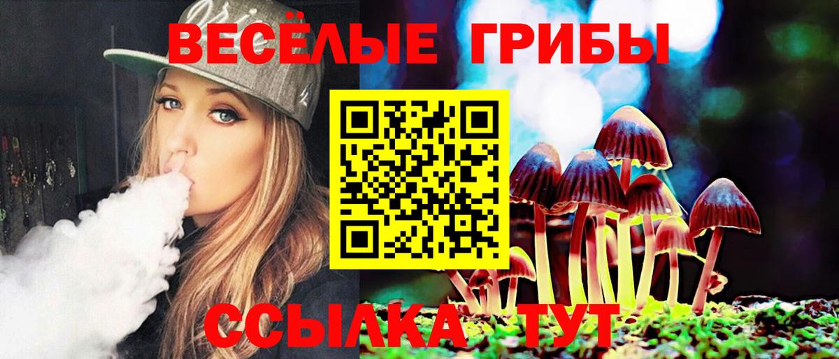 Маркс  хочу наркоту  Вход с VPN  Псилоцибиновые грибы мицелий 