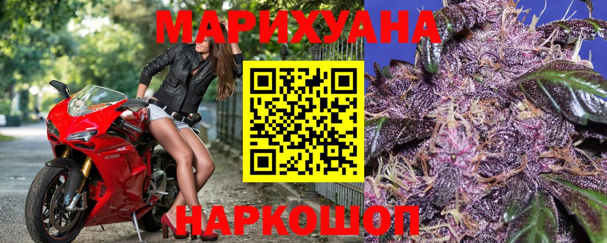 Шишки марихуана гибрид Маркс